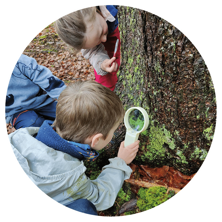 Kanooka accueille des groupes d'enfants pour des camp nature en plein coeur de la forêt en Haute-Savoie